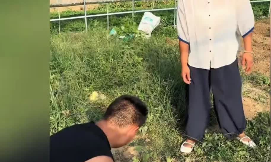 阿杜看到这一幕又气的一蹦三跳心在滴血了李佳是一个比较实在的人，啥事