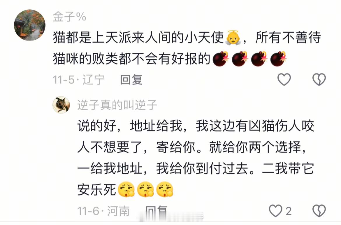 这下猫孝子被两头堵了😭