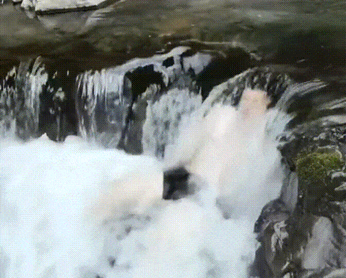 外星人就是看了这些视频才懒得搭理我们