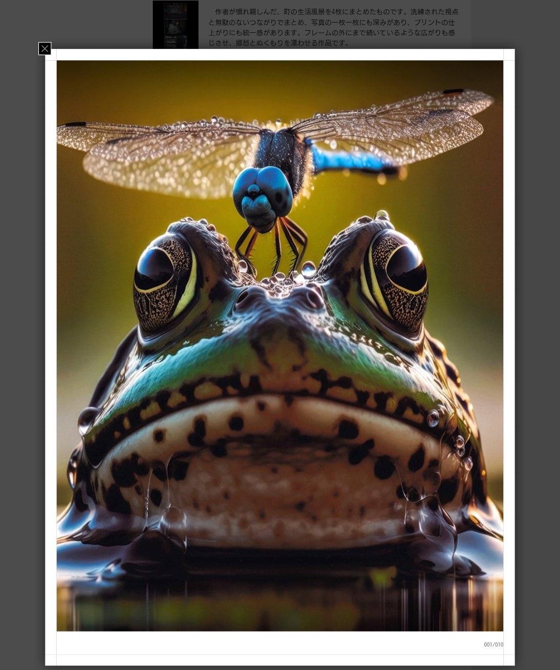 人工智能PK摄影专家近日日本某摄影沙龙突发乌龙丑闻，主办方起初