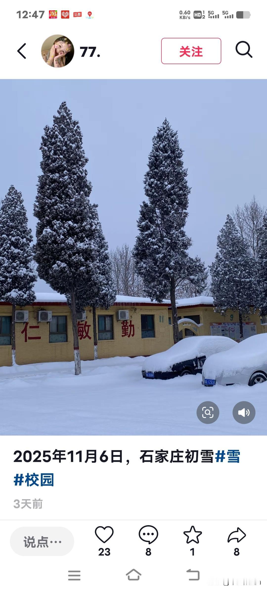 石家庄的初雪今天刷爆朋友圈了！五岳寨景区瞬间成了一片冰雪世界，栈道上结了冰，景区