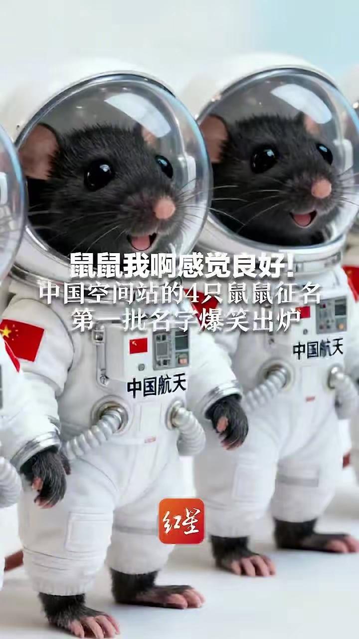 这烧烤全世界独一无二，中国宇航员太空吃烧烤，没错我就是臭显摆。这别的国家宇航员