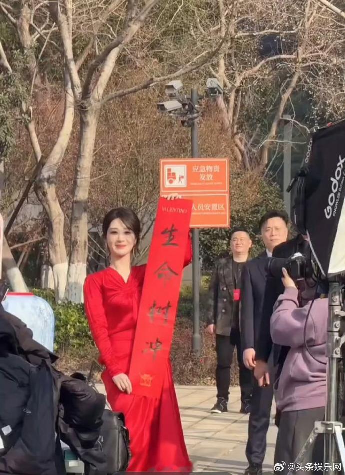 剧宣小能手杨紫用举春联的方式为新剧造势，简洁有力的手写文案精准宣传《生命树》和《