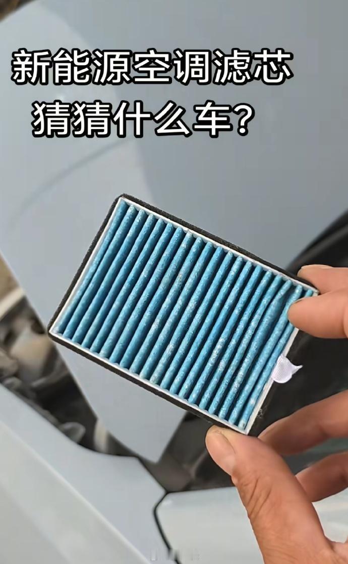 还没我家吸尘器的滤芯大[笑着哭]