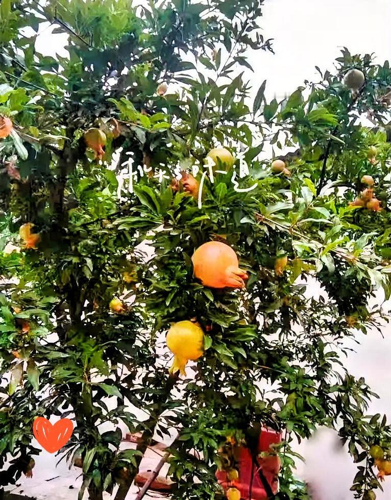 我实在理解不了我大姐，今年都67岁了，俩人手里存款有30万，每月退休金还有