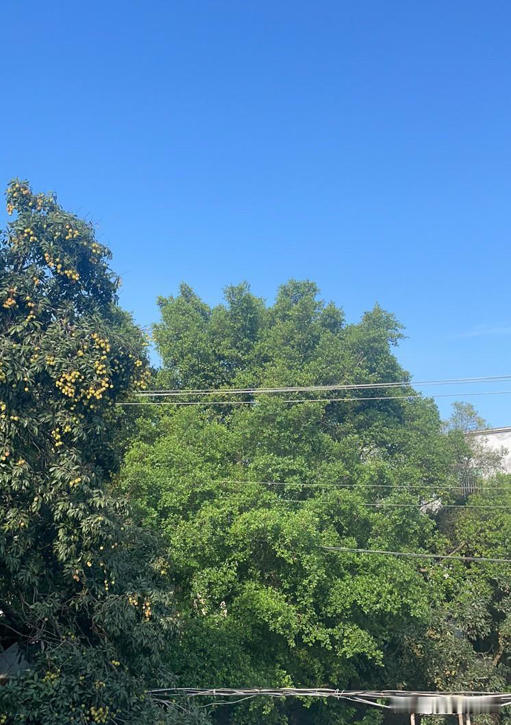 拿离婚当吓唬老公的手段，这样的女人是很无知的。一女子，她没工作，在家带孩子。家里