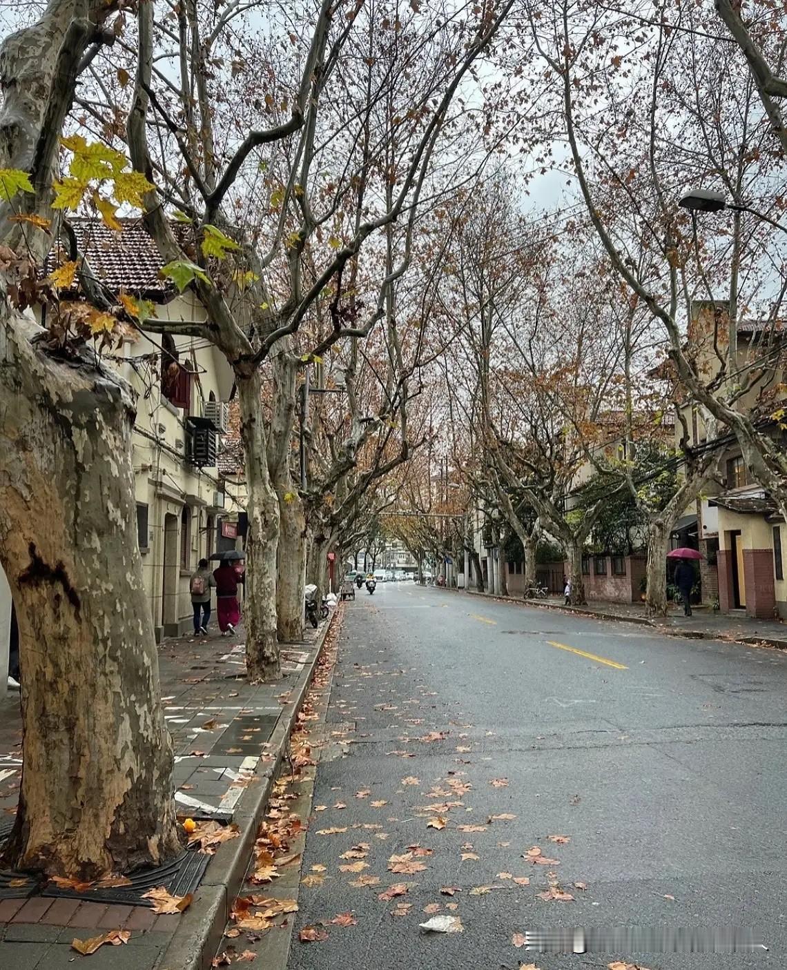 提前给大伙儿提个醒，心里最好有个准备。从明天开始，也就是1月8号到17号这段