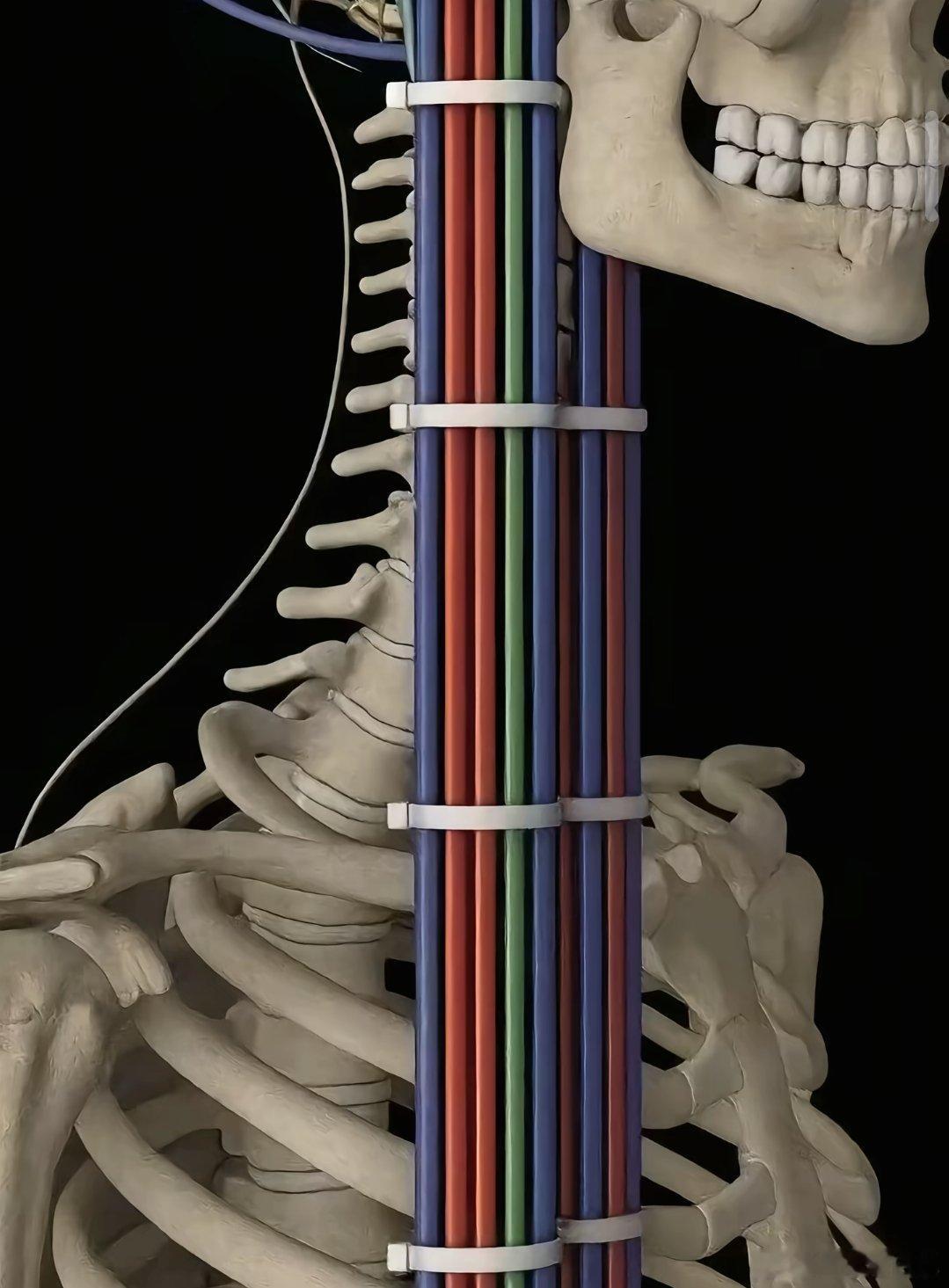 如果女娲是电工，病毒狂喜，简直这就是高速公路因为女娲不是个好电工​​​