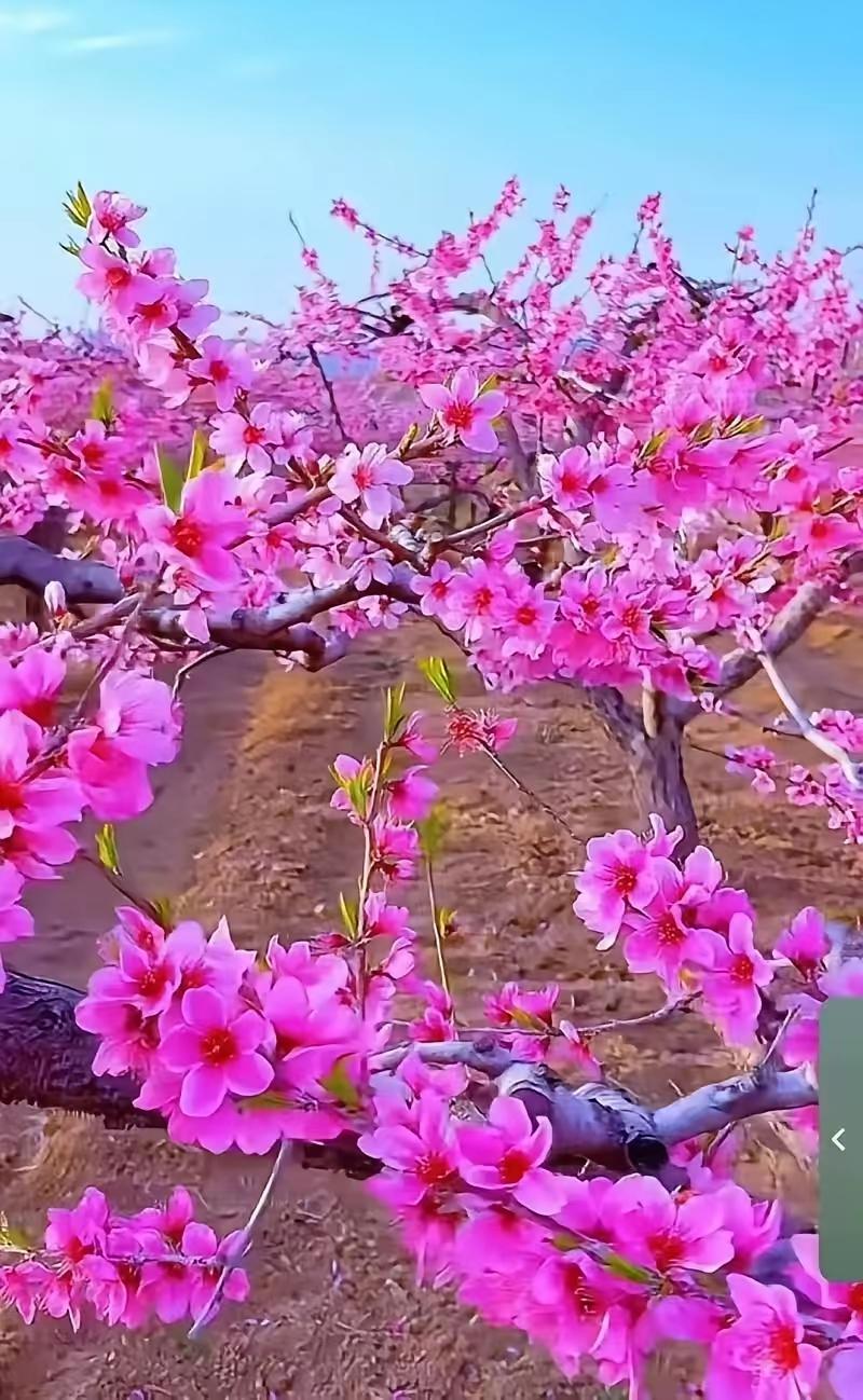 健康在，一切才有希望人这一生，追逐过名利，执着过得失，纠结过爱恨，到最后才