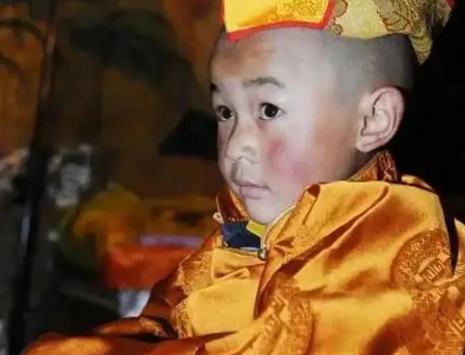 1990年的藏历新年刚过，西藏嘉黎县的牧民白玛曲宗家迎来了几位特殊客人。身着