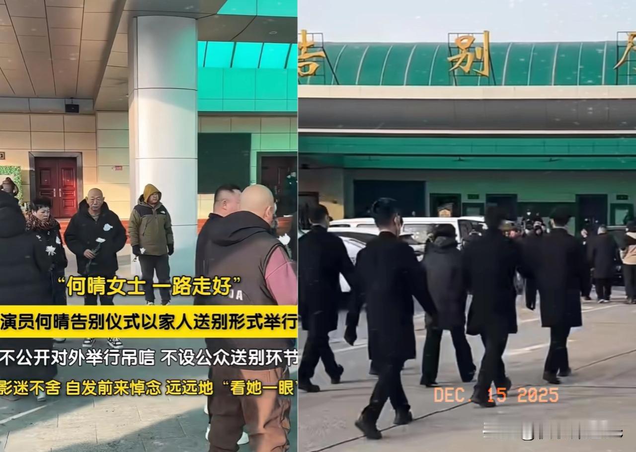 他说妈妈很喜欢雪，北京这场雪好像是为她而下！看到这里我已经绷不住了[捂脸哭]