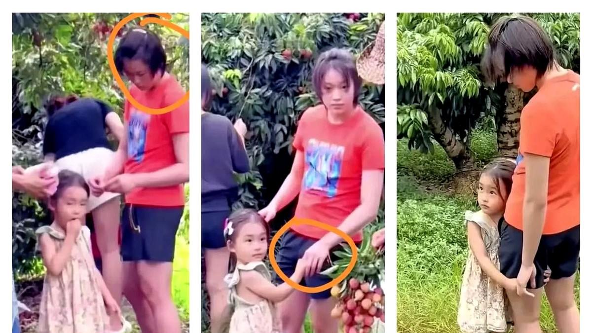 全红婵有心事了，你们发现了吗？这次她回家摘荔枝很少放声大笑，难道她有一种