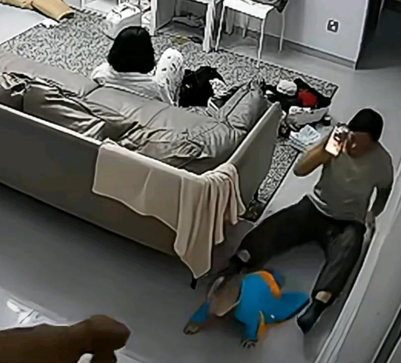 孩子在地上爬，妈妈坐在沙发上，奶奶看着孩子，下一秒狗狗突然冲向孩子，奶奶立马抱
