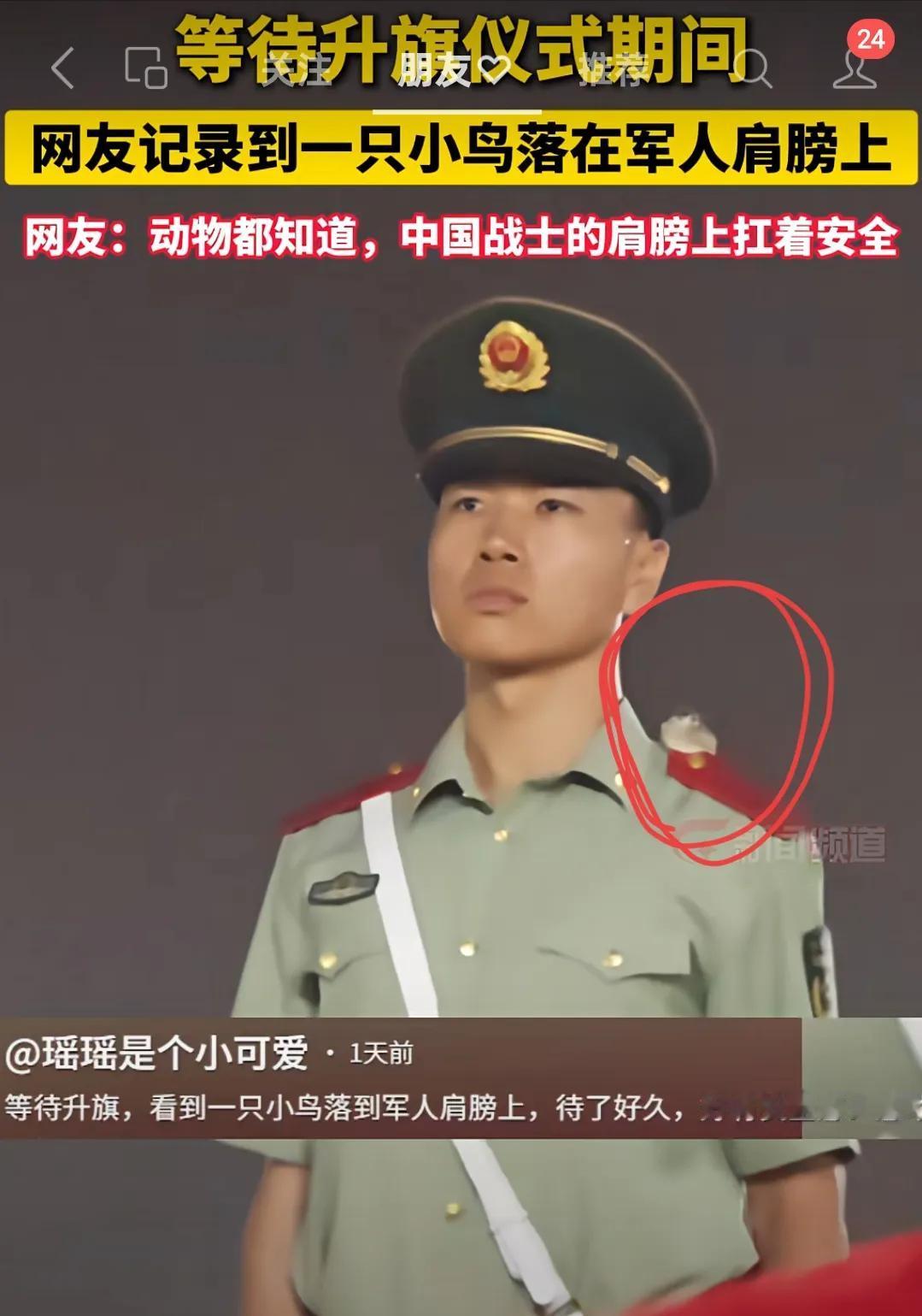 天安门广场:小鸟都知道，中国战士的肩膀上扛着安全！好感动画面，这是中国军人