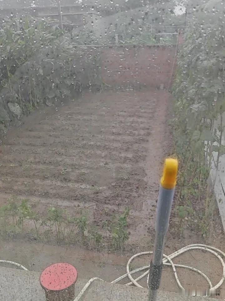 知道今年女人为啥都穿裤子了吧？因为，穿不了裙子。今年的夏天，太诡异了，从开春