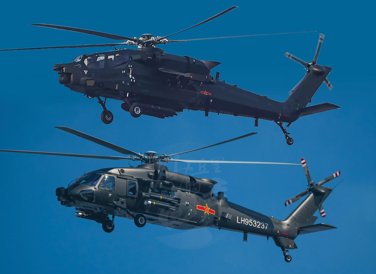 传闻新的武直与直-20对比🆚