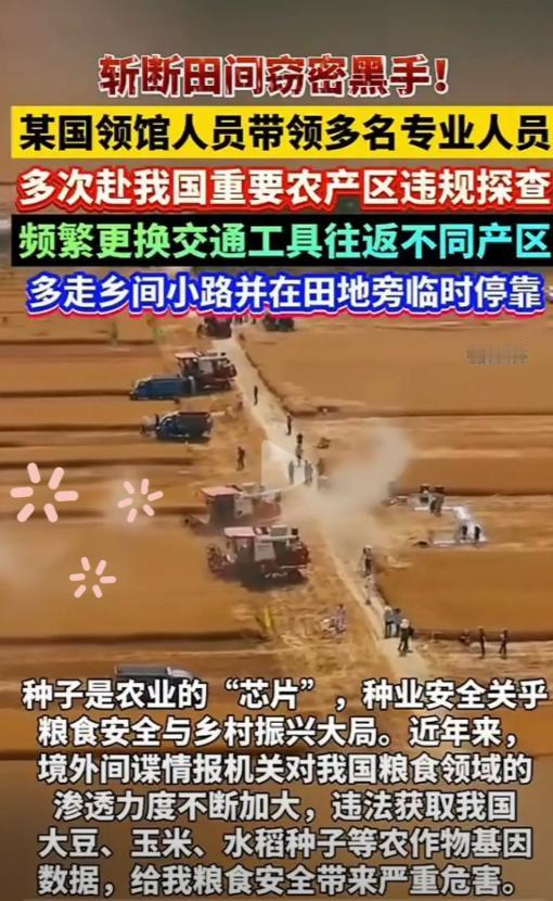 近期，公安部接到的举报揭开了层隐秘面纱：美国领事馆派来的“农业专家”“生物专家