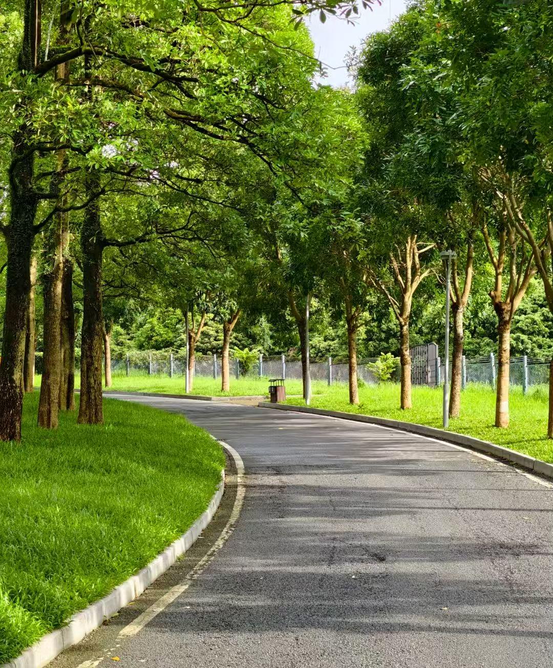 运气不好，就要多出去走一走。走运，走运，走出去了才会有好运。困难，困难