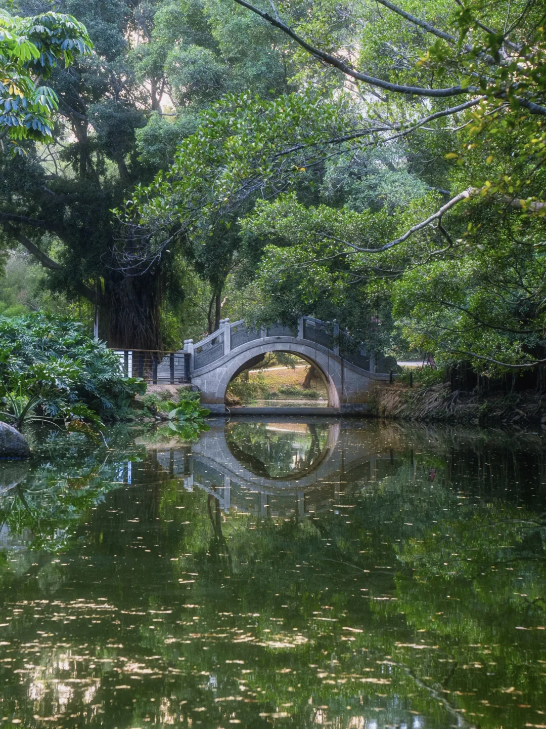 深圳🍃建议感觉能量低的人来这18个地方