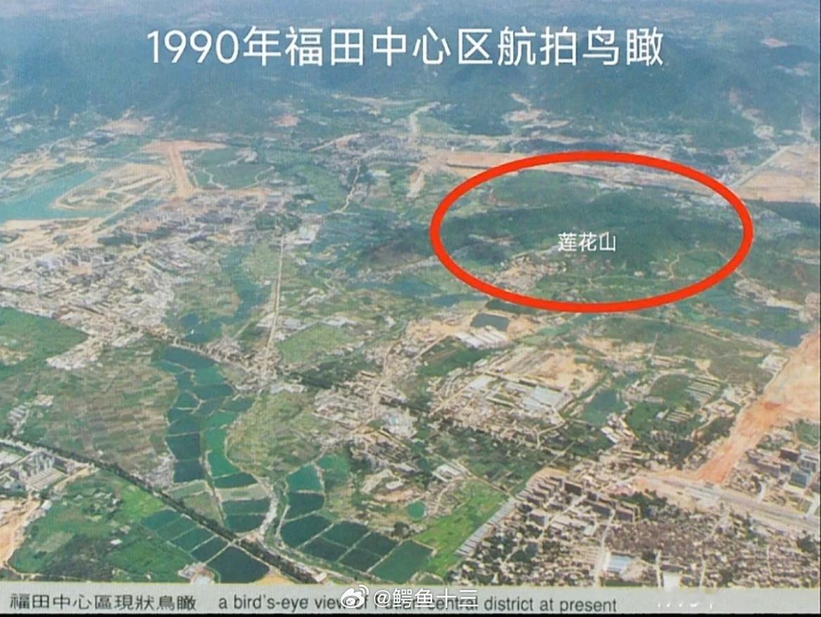 1990年的深圳市中心到处是荒野，现在遍地是8万~20万/平的豪宅。今天已是宽阔