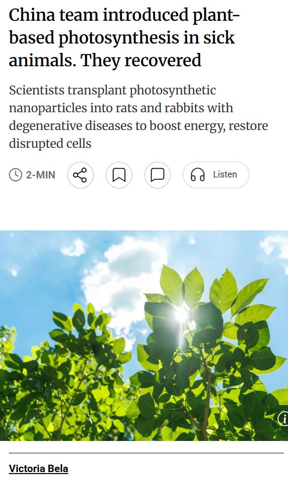 外媒：中国浙江大学医学院团队研发出一种将植物光合作用系统植入动物细胞的新型疗法：