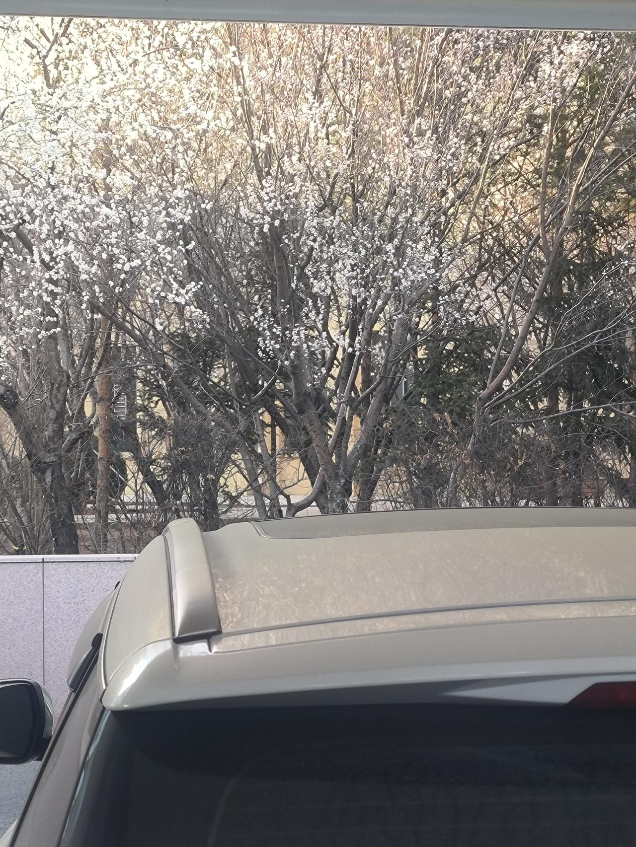 昨晚十一点刚过，刚刚关灯睡下，突然听到阵阵敲门声，这个时候，还会有谁来访？赶紧披