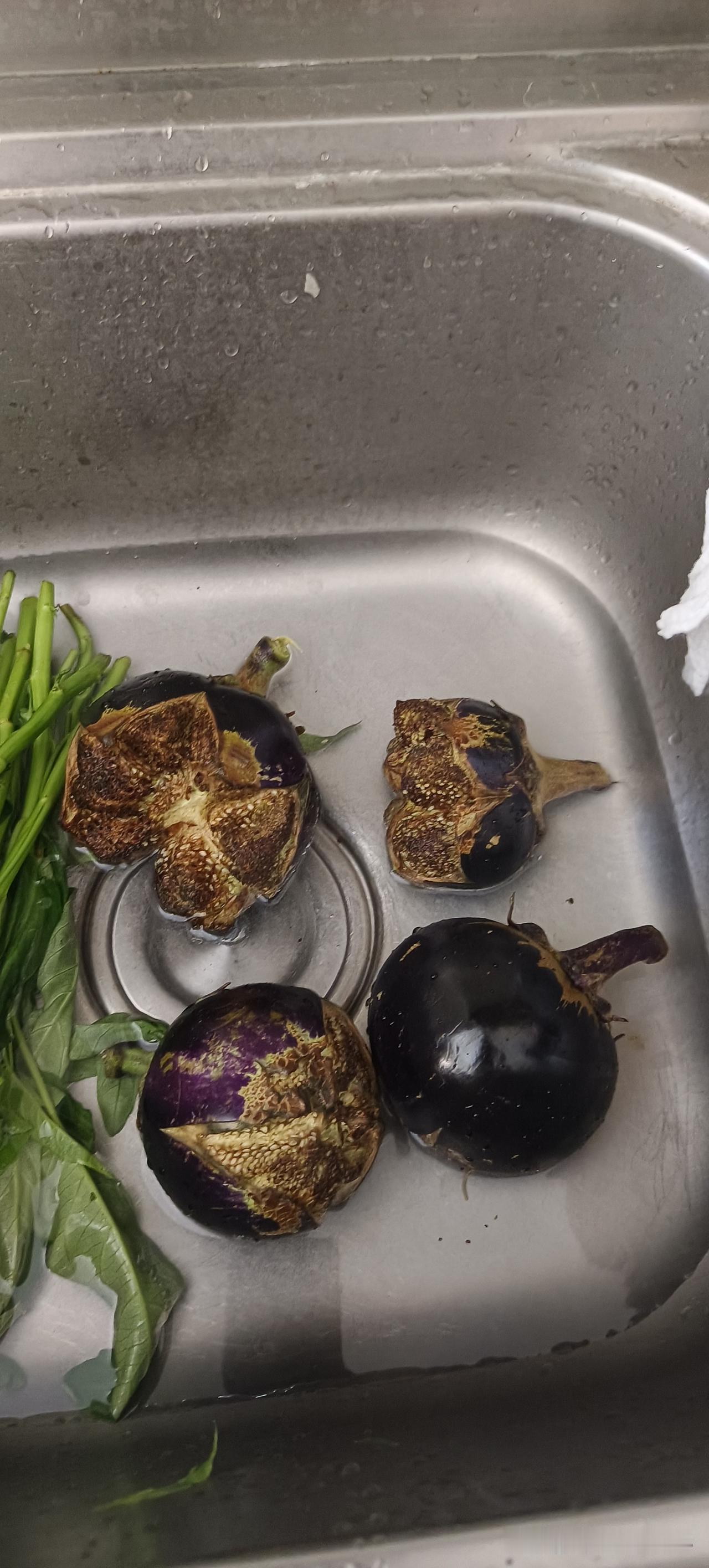昨天刚从扬州回来，小姑子就给我送来了她自己种的好多菜，你看看这样的茄子还能吃吗？