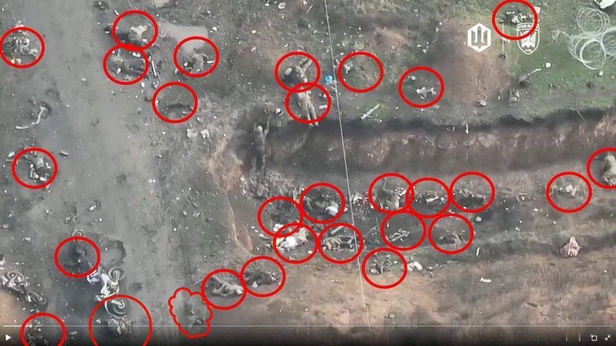 俄军进攻越来越困难？前线称乌军实施新战术，杀得俄军尸横遍野。近日，俄罗斯军事博主