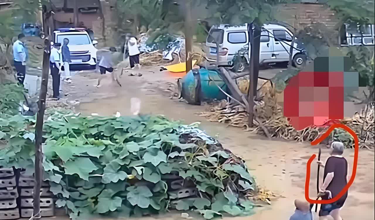 83岁的老爷子在水里摔倒了，旁边站着俩民警却没上前扶一把，结果家属不乐意了，直