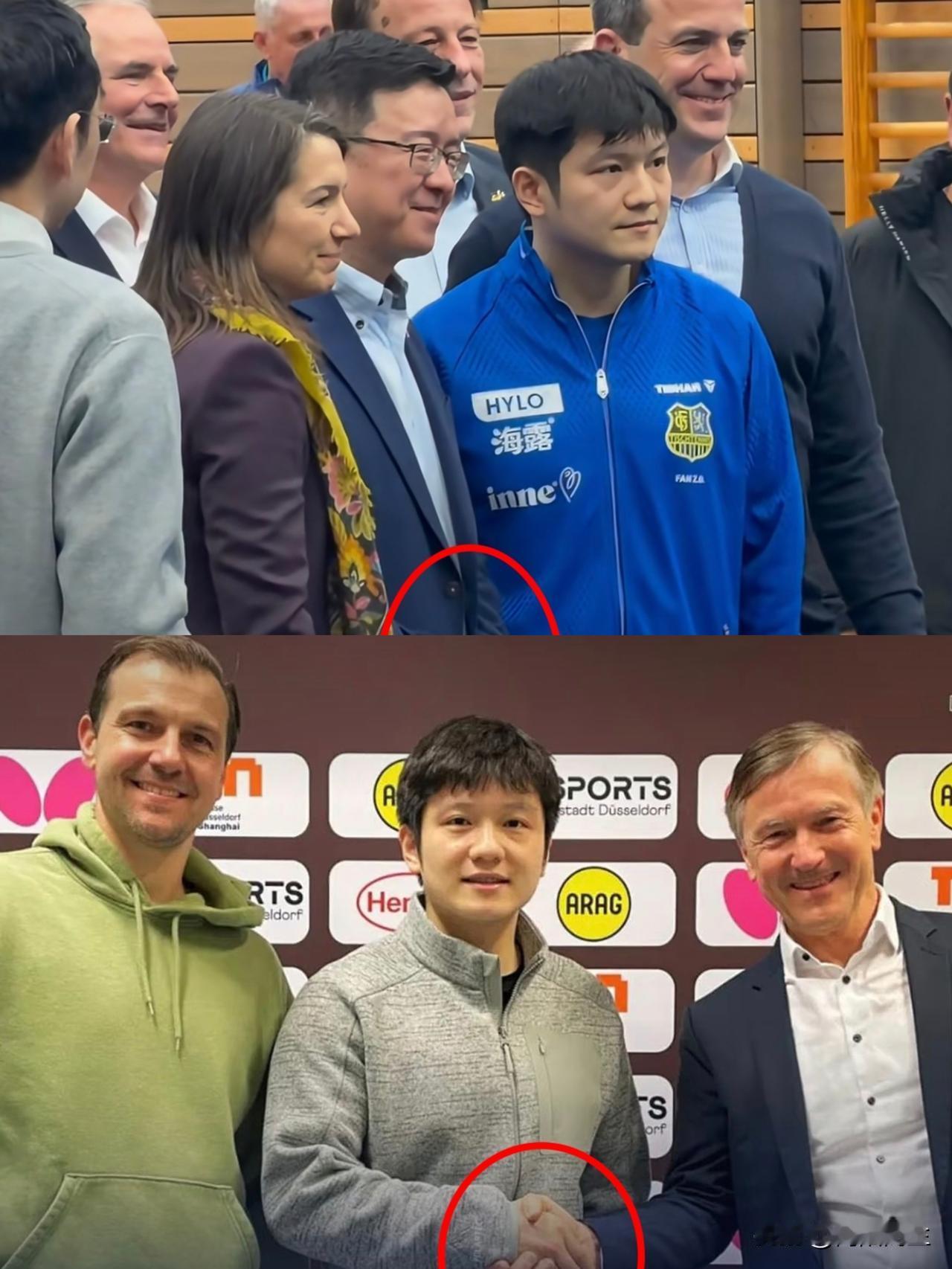 樊振东下赛季真要去杜塞尔多夫了，这事已经确定了！他本赛季在萨尔布吕肯打得很稳