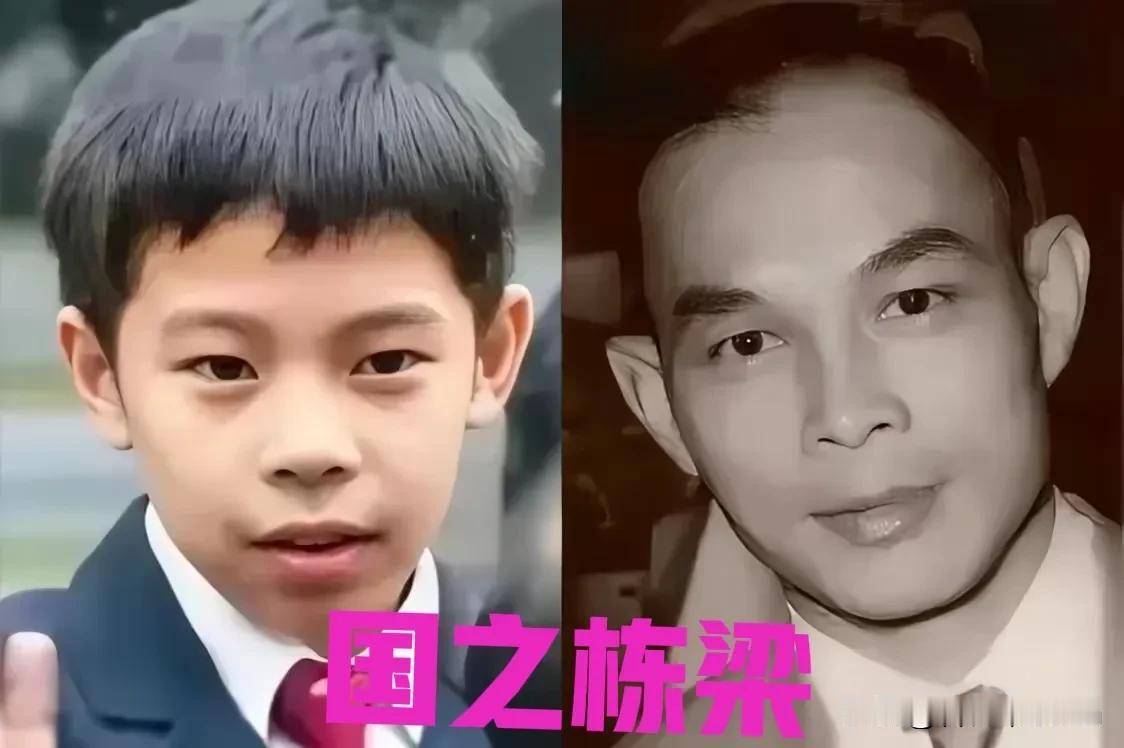 终于明白了，为什么霍家会重点培养霍中曦最重要的不是因为他是郭晶晶霍启刚儿子，也