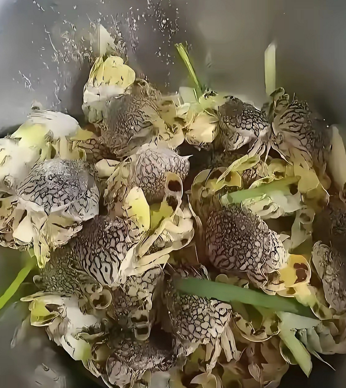 这是哪里的美食，有认识的朋友不，太厉害了。