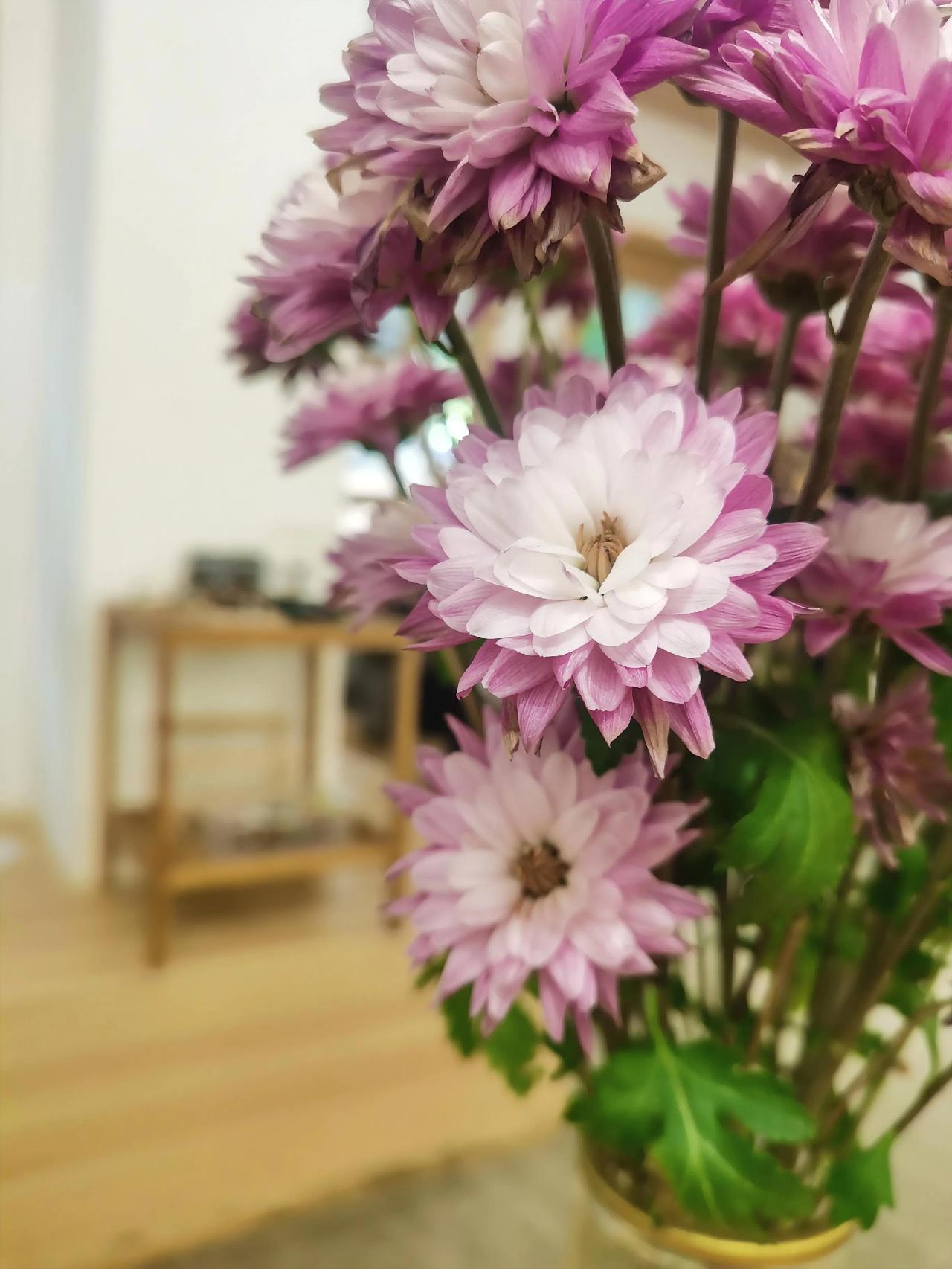 我领导是一个很抠门的人，抠到什么程度，很多接过我们公司运单的司机，都说以后不接我