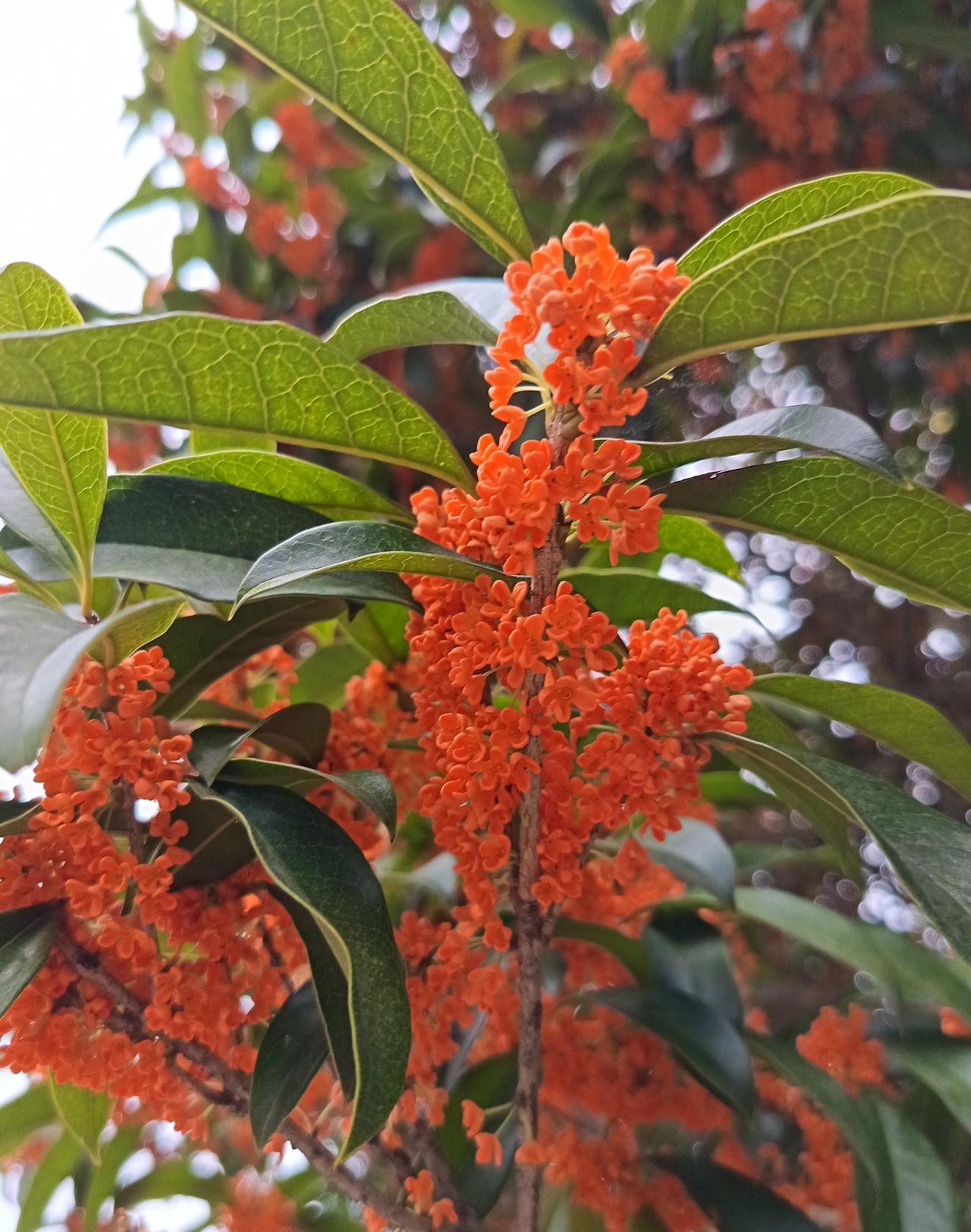 人生苦短，本来就是一场减法，来日并不方长，我们是来体验生命的，又不是来研究完美的