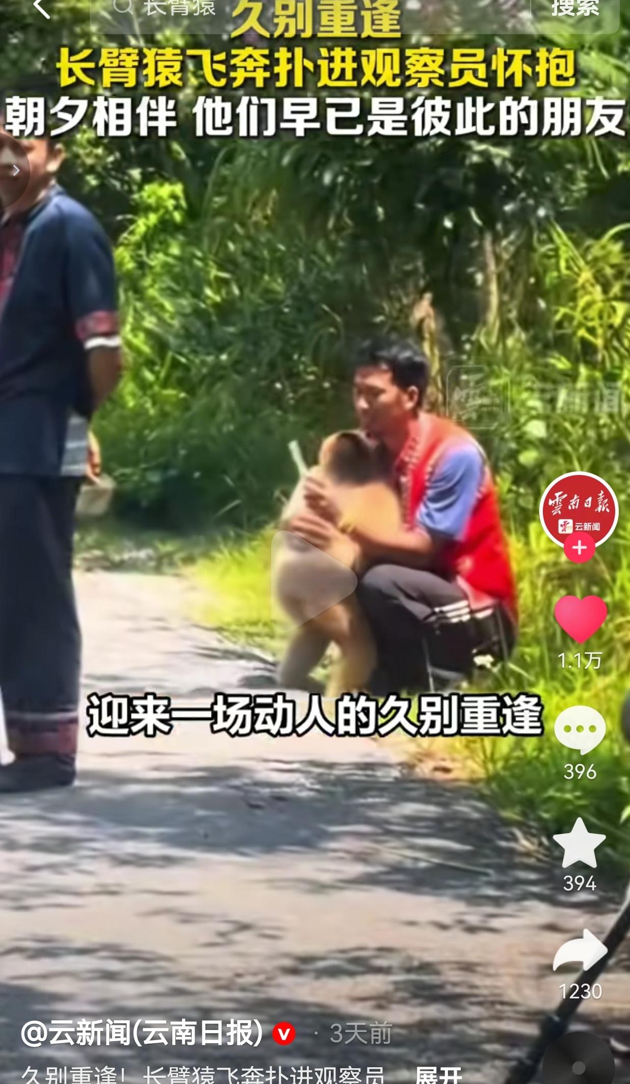 在云南普洱太阳河森林公园，这名动物观察员平日里长期在这里值守，日复一日投喂、照看