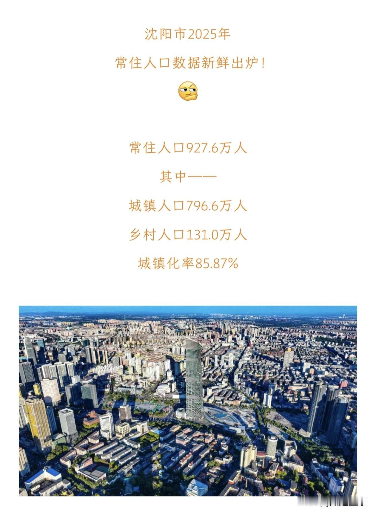 沈阳常住人口数据出炉：稳步增长背后的城市活力！沈阳市2025年常住人口数据