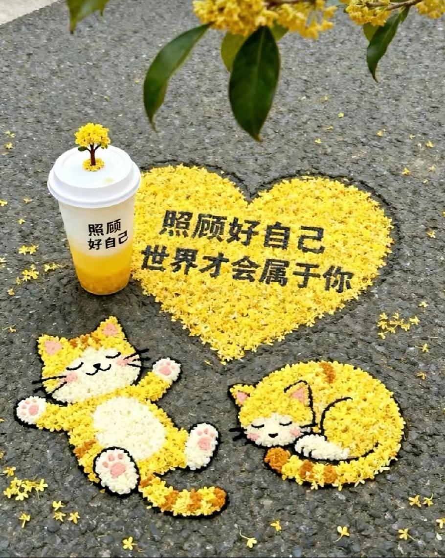浅秋与夏末[玫瑰][比心][玫瑰]立秋了，说它是浅秋，不如说是夏末的尾巴，