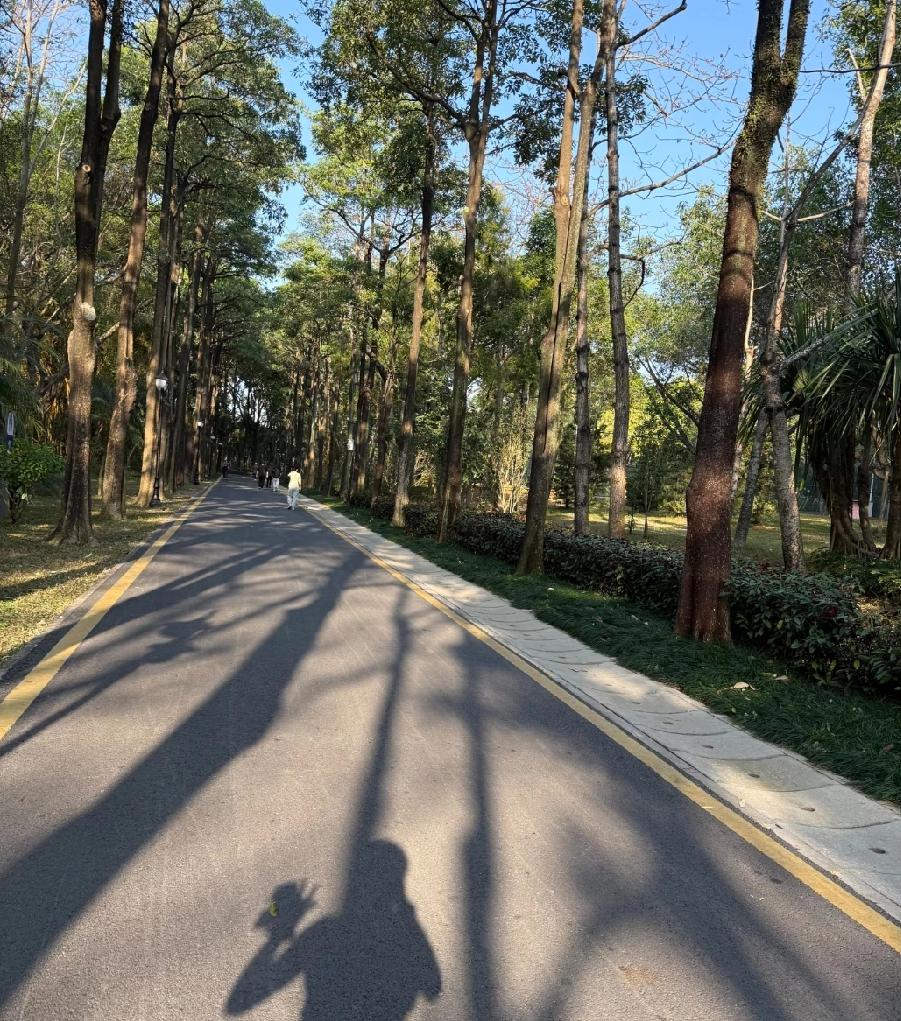 新手跑步，若不合理安排好跑步次数，很容易跑一段时间就会放弃了。随着生活水平的提