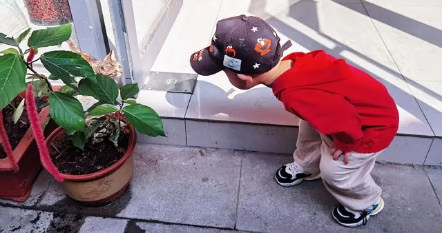 总催促孩子, 正在悄悄毁掉专注力, 学会静待孩子的节奏