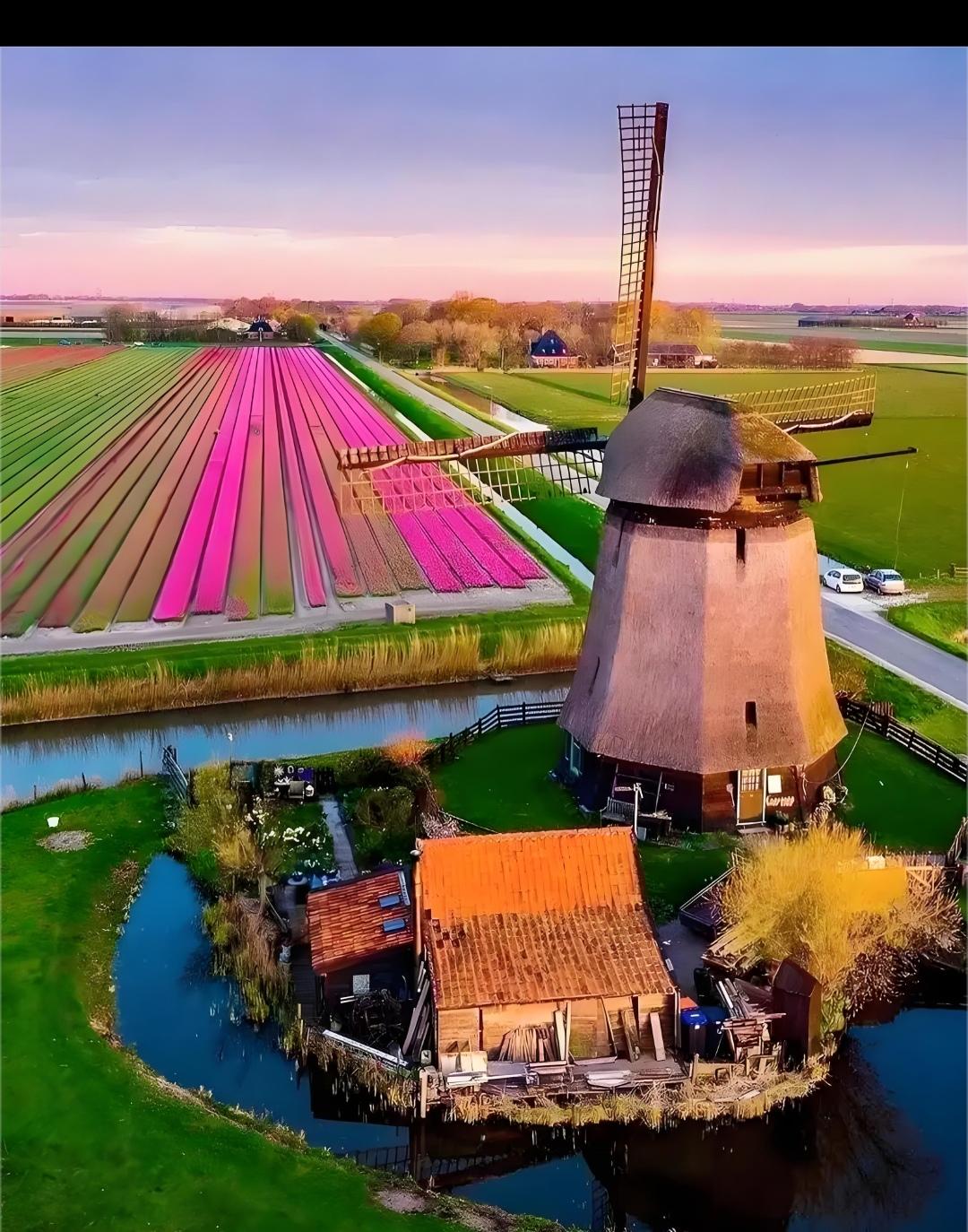 荷兰正式宣布10月31日路透社刚报道，荷兰正式启动2025年光刻机出口新规——