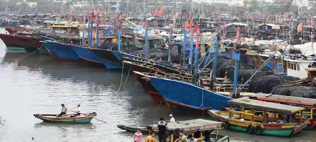 日本连夜跑路！留下千亿烂摊，越南宁死不求中国，却落得全盘皆输日本连夜跑路！越南