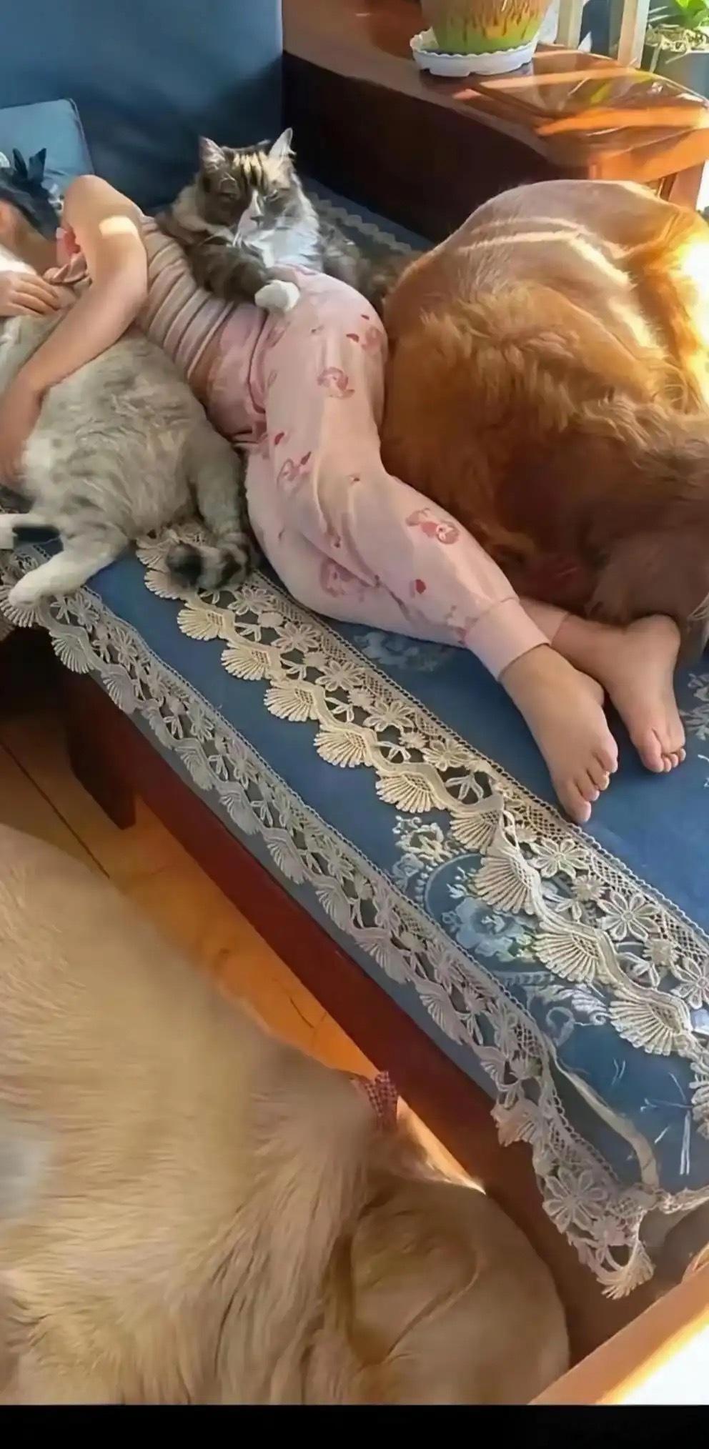 老天呐，这屋里不知道有多臭