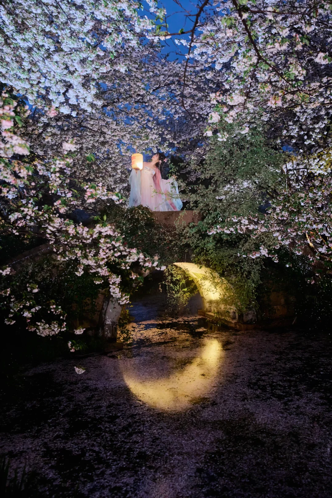 “春风有信，花开有期🌸”