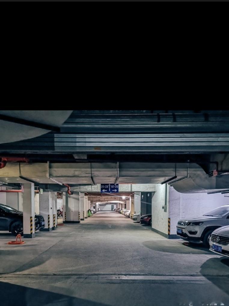 浙江男子称“忘记挪车”，一觉醒来傻眼：四扇车门变得坑坑洼洼、惨不忍睹...