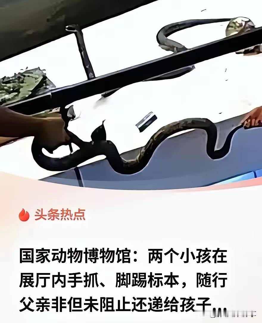 这孩子不懂事，大人也跟着犯浑？北京，一男子带两个孩子去北京国家动物博物馆濒危动物