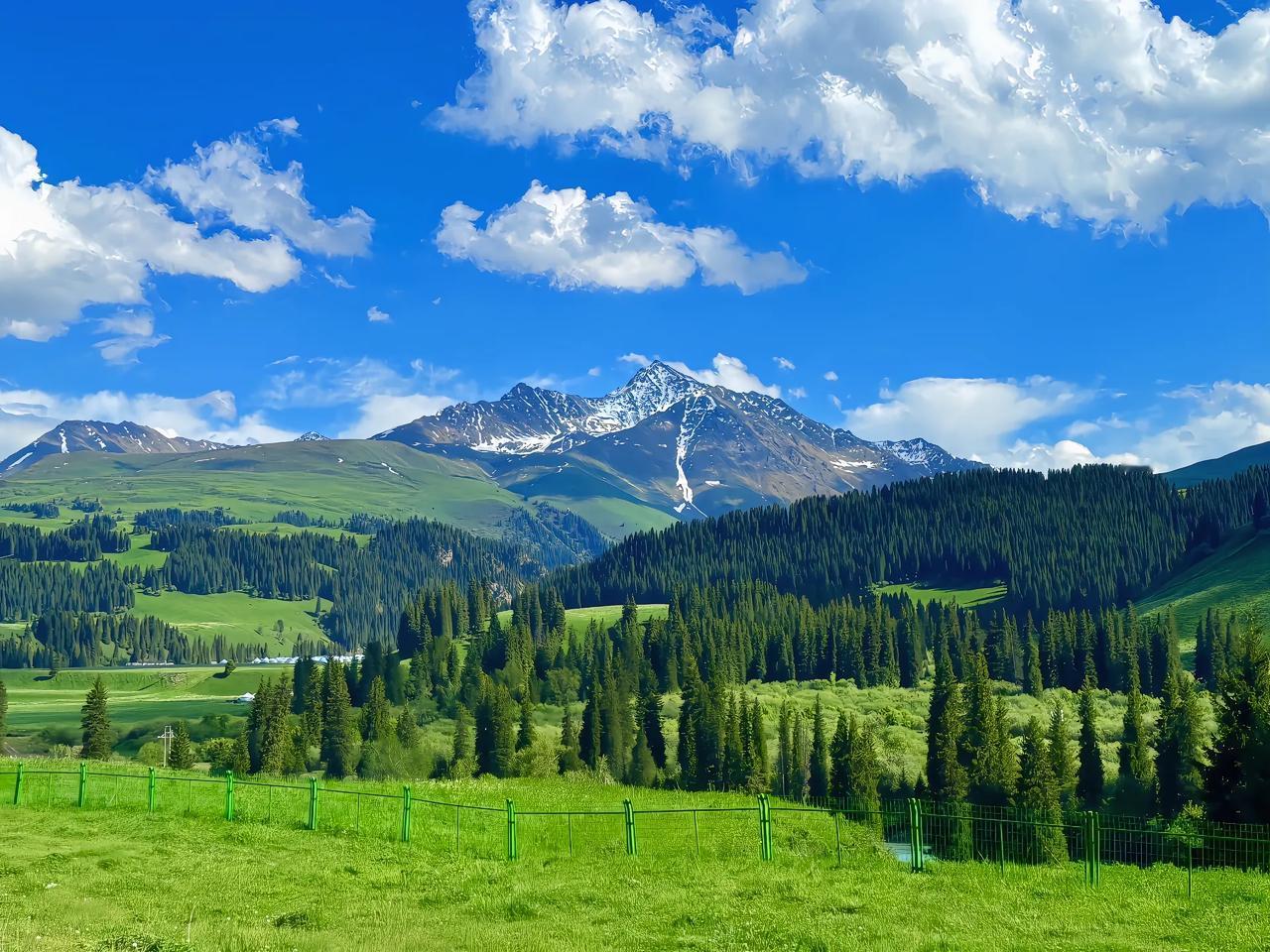 今天接待了一个南京市某重点高中的高二的学生家长，孩子学的是物化生，小朋友成绩蛮好
