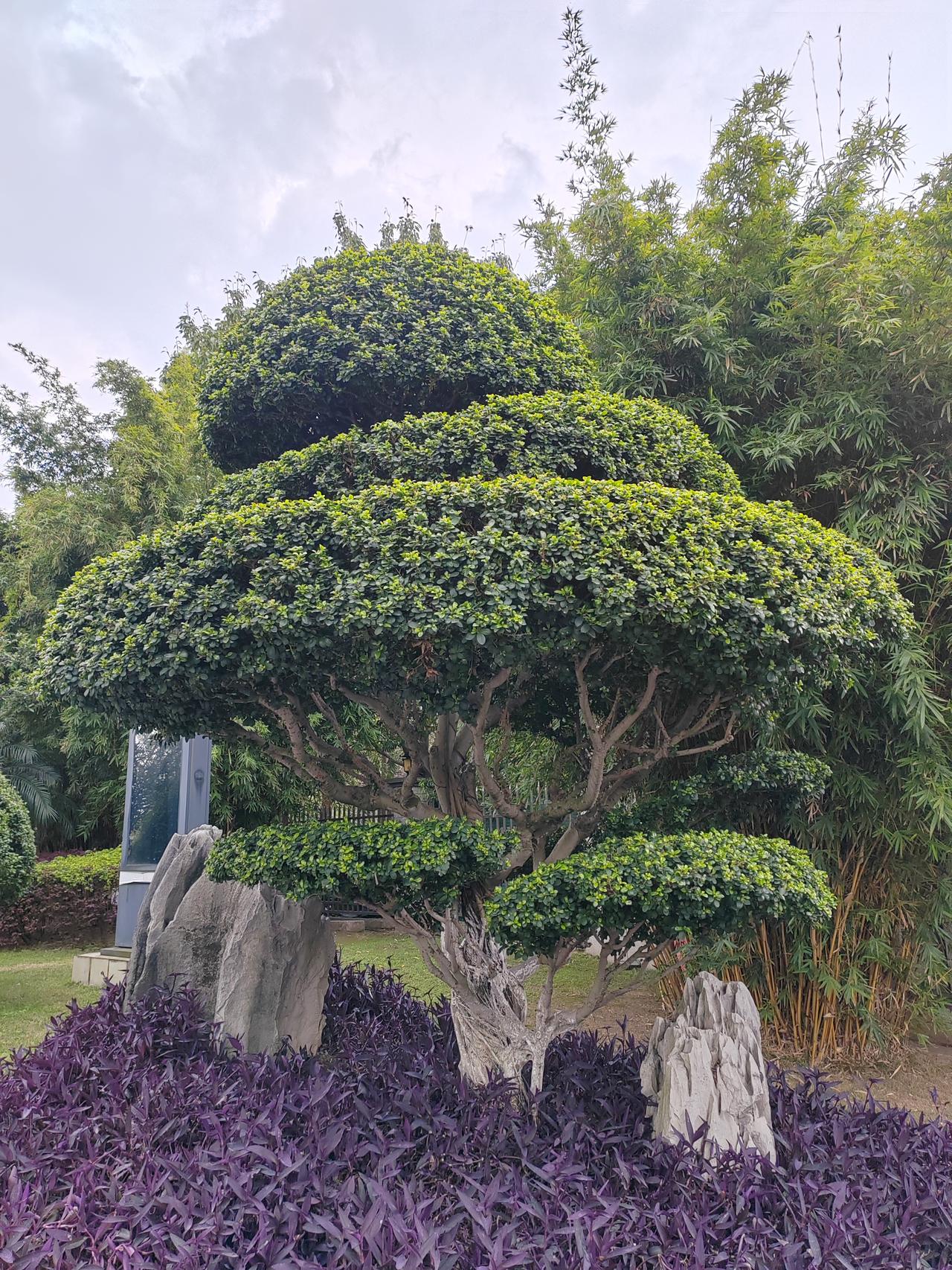 什么习惯让人长寿长寿其实很少是因为单一的“神药”或“秘诀”，它更多是长期坚持
