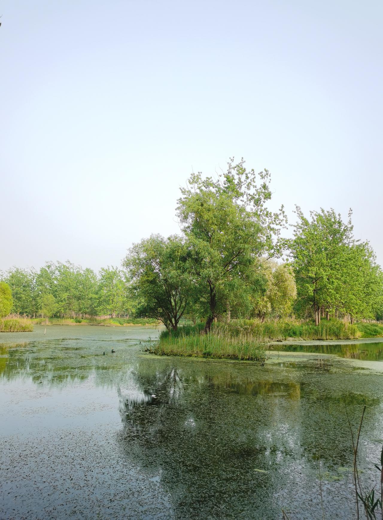 今日运势：丙午年壬辰月癸亥日2026.4.19日鼠：小吉运势偏好牛：出