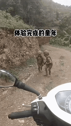 这顿打是够呛能躲过去了！[捂脸哭]