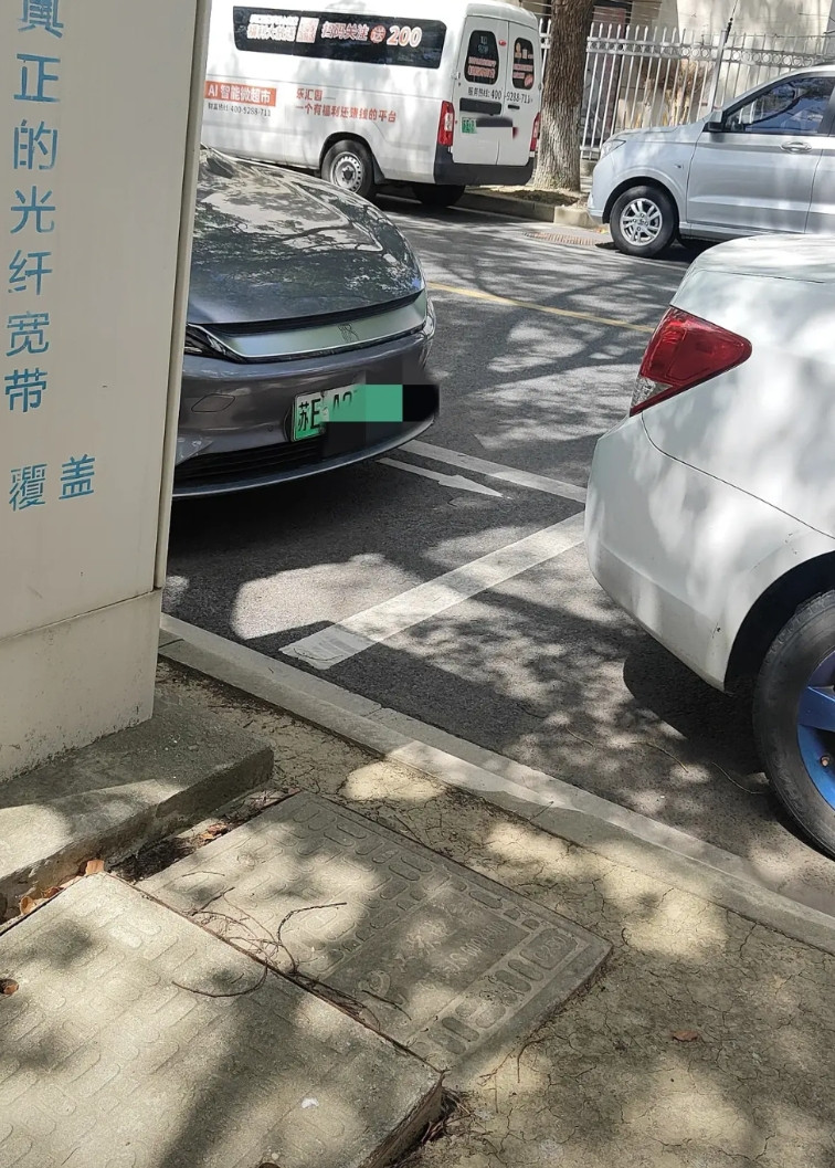 我的乖乖！路上电车越来越多，有人说，买电车纯粹是交智商税。主要电池衰减厉害，电车